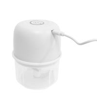 Hachoir et batteur à ail portatif mini en acier inoxydable avec recharge USB