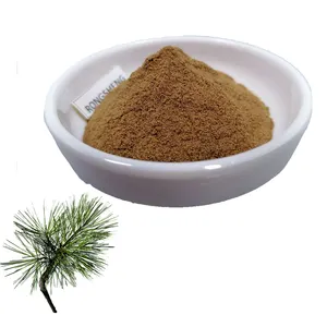 Manufacturer Sell Antioxidant Organic Tea French Bark Pine Needle Extract