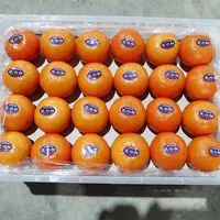 Ucuz fiyat yeni mahsul taze mandalina portakal