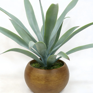 Plante d'agave réaliste à 15 feuilles dans un pot en pulpe de papier avec faux sol pour un aspect naturel, idéal pour la décoration de table de bureau à domicile - Product Image 3