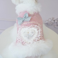 Rose mignon animal de compagnie automne hiver amoureux vêtements chaud chien robe et gilet