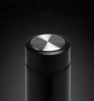 Botol air termos Stainless Steel, botol air Infuser teh dinding ganda dengan Infuser teh panjang