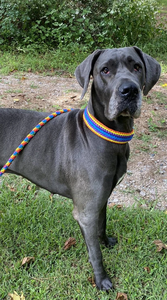 Collier de chien en paracorde macramé tressé à la main avec logo personnalisé, collier de dressage réglable en cuir pour chien, <span class=keywords><strong>pit</strong></span>-<span class=keywords><strong>bull</strong></span> - Product Image 6