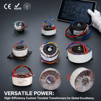 Transformateur toroïdal Tacway Pure Power haute efficacité sur mesure 700W, 98% d'efficacité, à noyau annulaire pour systèmes mondiaux