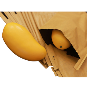 Kantong Pelindung Buah dari Kertas Biodegradable Buatan Cina untuk Pertanian, Penutup Pohon Anggur dan Jambu, Kantong Tanam dengan Cetak Kustom - Product Image 3