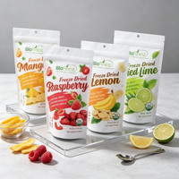 Op maat gedrukte recyclebare food grade PE stand-up pouches verpakkingen aardbeien Mylar zakjes voor gedroogd fruit