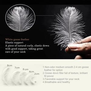 2025 OEM đặt hàng dịch vụ thở xuống bằng chứng fabric100 ngỗng 3 buồng xuống gối chèn 18x18 20x20 - Product Image 5