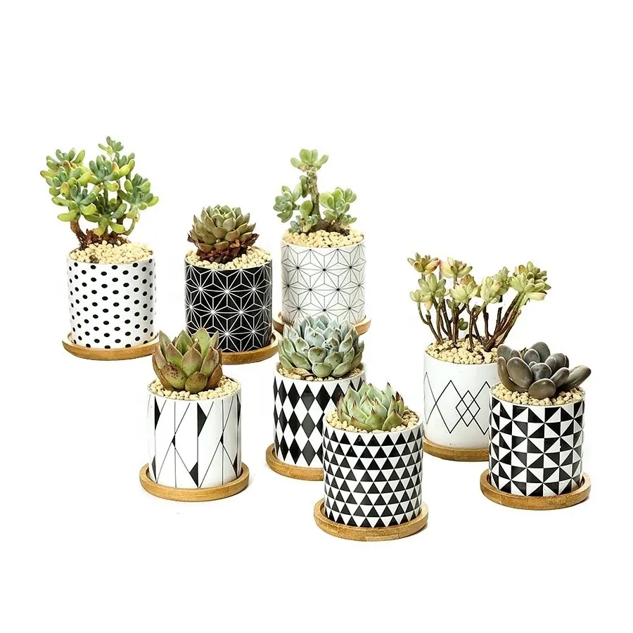 Decorative Wholesale Succulent Garden Planters Ceramic Plant Flower Pots