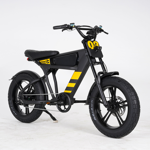 Switzerland Warehouse Direct Factory Sale High-Speed Electric City Bike Cruiser Electric Bicycles 750W Mountain EBike