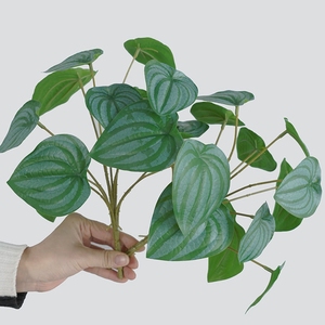 YOPIN-3650 Vente en gros de feuillage réaliste, feuilles d'<span class=keywords><strong>arum</strong></span> artificielles, décoration de plantes, feuilles de bégonia - Product Image 2
