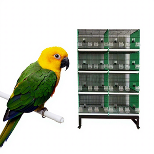 Vente en gros Geshifeng <span class=keywords><strong>Cage</strong></span> à oiseaux bon marché à 4 couches pour la reproduction dans un grand espace au Pakistan avec accessoires <span class=keywords><strong>Cage</strong></span> à oiseaux - Product Image 1