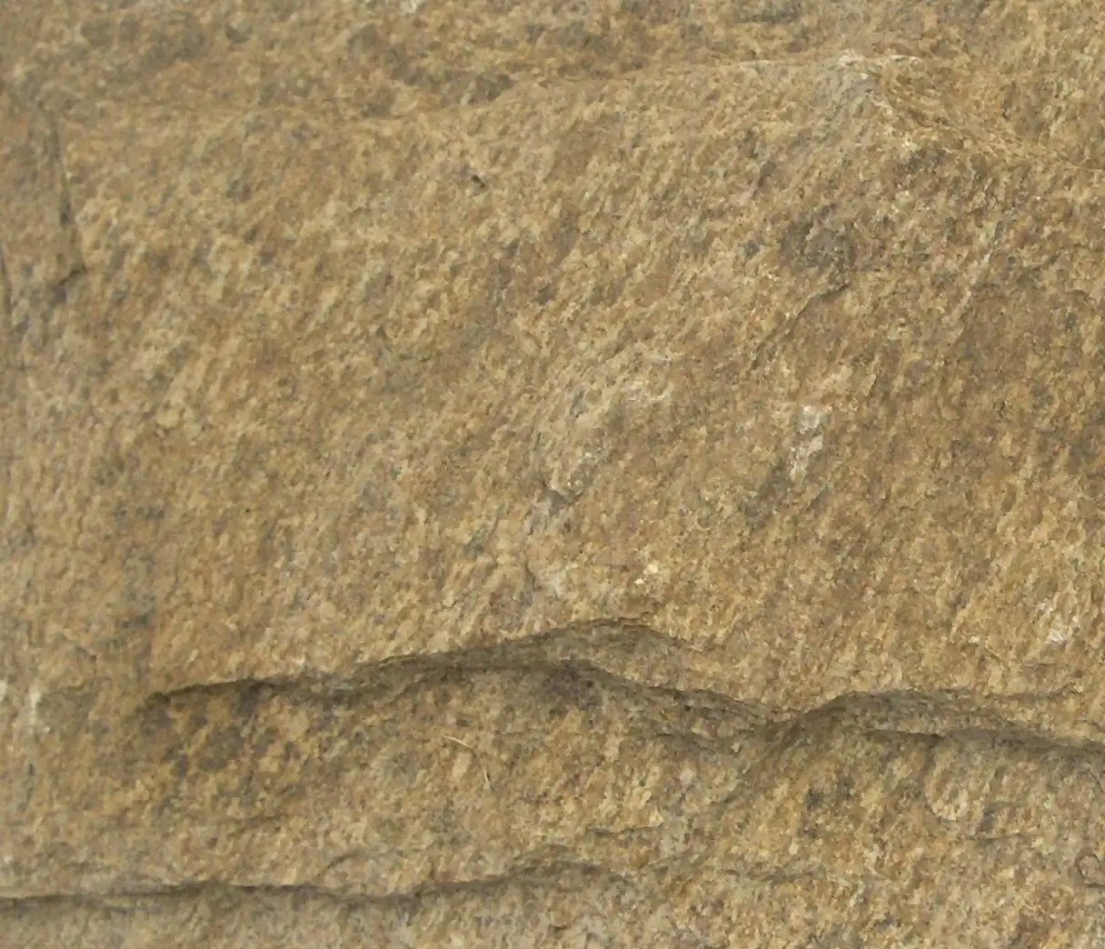 Pannelli di rivestimento della parete di pietra della cultura delle mattonelle della parete di pietra naturale gialla