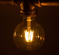 Antique Vintage G80 4W LED Edison Ampoules 12V AC/DC LED Ampoule à filament Lampe décorative industrielle CE PSE ROHS