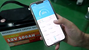 <span class=keywords><strong>PL</strong></span> Stock 4S1P BMS incorporado larga vida LiFePO4 12V 300ah 4000 ciclo profundo batería de iones de litio LiFePO4 batería - Product Image 5