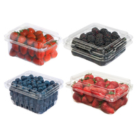Fabrieksprijs Blistermachine Plastic Fruitcontainer Eierbak Taartdoos Plastic Bakje Thermovormende Machine