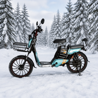 Vélo électrique tout-terrain durable avec pneus antidérapants pour les trajets urbains et sur neige