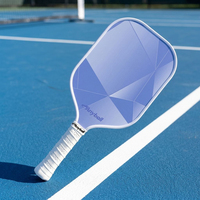 Vente directe d'usine B008 Anyball Raquette de pickleball en cristal violet 14 mm en fibre de verre pressée à froid avec structure en nid d'abeille pour l'entraînement professionnel