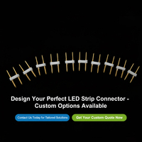 Connecteur de bande de LED à 2 broches en cuivre à 2 fils pour LED 5050 3528 3014 2835 bandes
