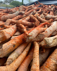 공장 공급 순수 천연 200:1 통캇 알리 뿌리 추출물 에우리코마 롱기폴리아 분말 건강 보조제용 - Product Image 3