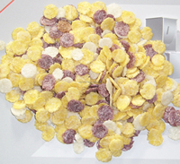 Petit déjeuner chips céréales collations Machine d'extrusion flocons de maïs flocons de maïs collations aliments soufflés faisant souffler et mûrir extrudeuse