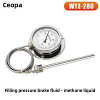 Termometer Industri Presisi Tinggi Baja Tahan Karat WTZ-280 Tipe Tekanan Layar LCD IP65 Resolusi 0.2 Suhu