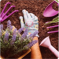 Briques de fibres de coco compressées, substrat de culture, terre de coco pour plantes, sol pour la croissance des plantes, légumes, fleurs, baies, plantation