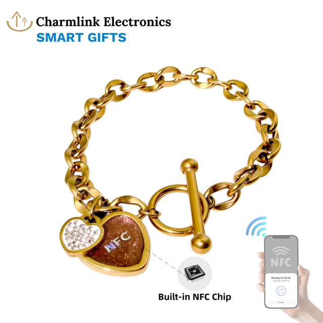 Recharge Free Smart RFID/NFC Stainless Steel Bracelet 213 Chip Wristband for Access Control Membership Card Use OEM/ODM Low MOQ