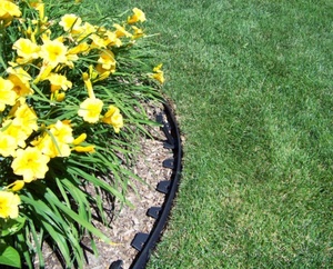 Flexible Easyflex Heavy Duty No-Dig Waterproof Eco-Friendly Garden Plastic Lawn <b>Border</b> Edging 10m Length - Product Image 6