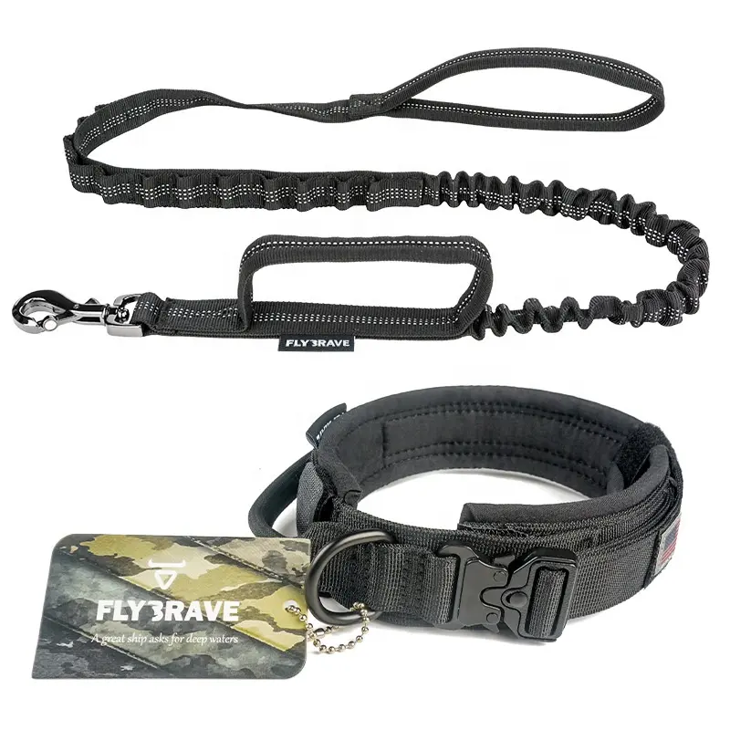 Fibbia Cobra in metallo regolabile personalizzata fettuccia in Nylon imbottita K9 Set collare e guinzaglio per cani da addestramento tattico all'aperto