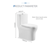 WC monobloc moderne TTF021005 à double chasse, siphon en S, cuvette en céramique blanche, chasse d'eau, économie d'eau