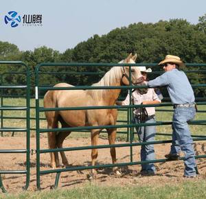 Panneaux de cour de cheval galvanisés durables Utilisation à long terme Installations équines en maille de fer Traitement thermique de maison de contrôle des foules <span class=keywords><strong>3D</strong></span> - Product Image 5