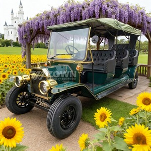 Voiture électrique rétro classique au design créatif, homologuée pour la route, idéale pour les mariages et les services de navette hôtelière - Product Image 1
