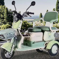 Tricycles électriques sans balais à 3 vitesses et 3 roues pour adultes, moteur moyeu arrière 48V 500W, batterie 20Ah, cadre en acier au carbone ouvert, vitesse maximale