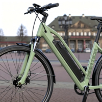 Batería de Iones de Litio Recargable Reention Dorado ID-PLUS 36V/48V 14Ah/17.5Ah/21Ah para Bicicleta Eléctrica, de Alta Capacidad, con Puerto USB y Certificación CE