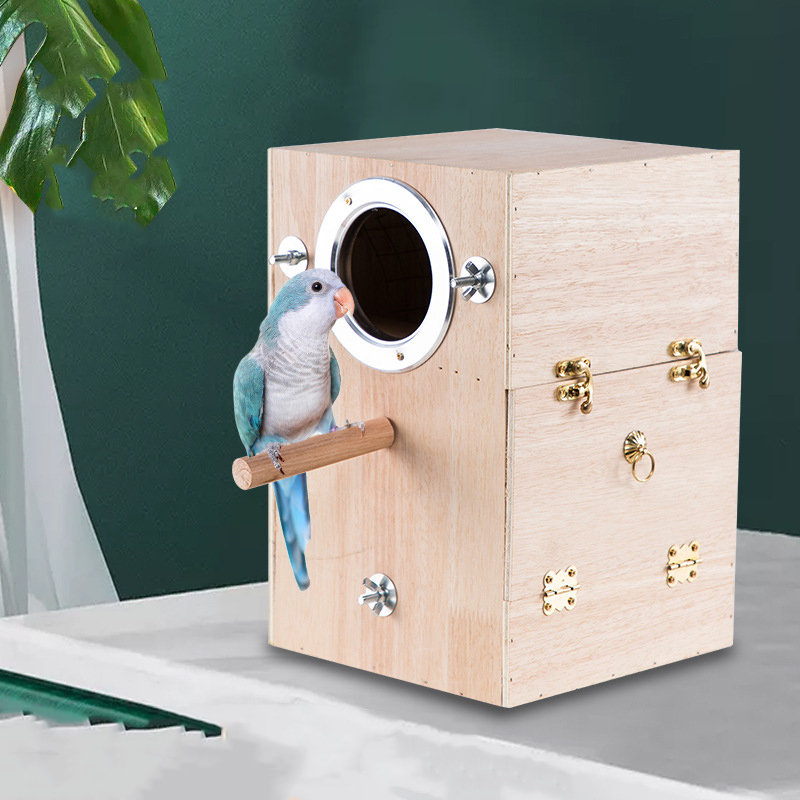 parrot national box