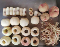 Fruit En Groente Peeling Machine Mango Citroen Peeling Machine Perzik Peeling En Pitting Machine