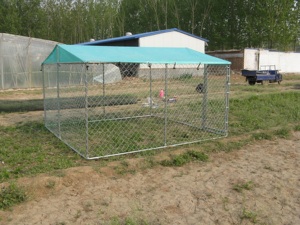 Grande utilisation résistante de chenil de chien de grillage en métal pour la ferme extérieure d'arrière-cour avec l'anti-ultraviolet - Product Image 2