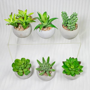 Nouveaux pots à succulentes en céramique plastique artificielle, décoration de bureau mignonne et réaliste, pots à succulentes uniques - Product Image 4