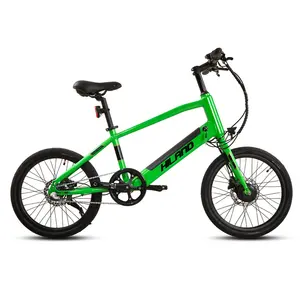 Joykie Nieuwe Ontwerp 20 Inch Hydraulische Schijfrem 2 Wiel Ebike Motor Mini Elektrische Cyclus Fiets