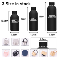 Botella de Agua SilverJet de Doble Pared Aislada, a Prueba de Fugas, Ecológica, con Colores Personalizables, 500 ml 750 ml, Libre de BPA, Acero Inoxidable