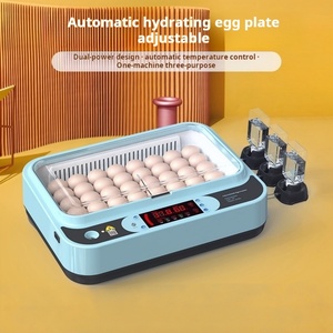 2025 Factory Direct Hofujng New Design Mini <b>Egg</b> <b>Incubator</b> Digital Temperature Control Automatic 64 <b>Eggs</b> 110V-240V - Product Image 3