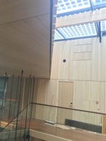 Paneles de pared de bambú respetuosos con el medio ambiente, para centro comercial, hotel, 2023