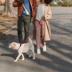 Correa de Nailon para Perro, Roja, Negra, Azul, No Retráctil, con Bozal, Cinturón de Tracción para Perros, Uso en la Playa - Product Image 2