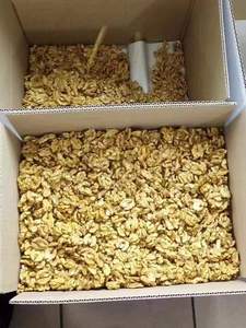 Giá rẻ bán buôn giá ma Guo/yunnan óc chó hạt cho ăn - Product Image 4