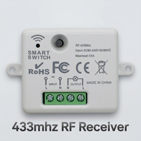 Interruptor de Control Remoto Inalámbrico Universal de 433 Mhz, 110 V, 220 V, 10 A, Mini Receptor de Relé, Control Remoto para Lámpara LED del Hogar