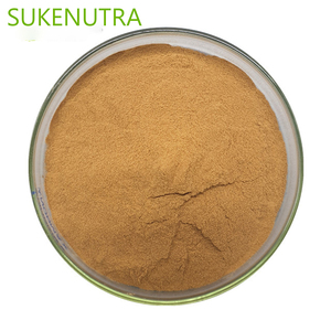 خلاصة السالسا الطبيعية - Product Image 1