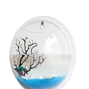 Vase mural transparent pour plantes, décoration d'intérieur, <span class=keywords><strong>aquarium</strong></span> en acrylique, <span class=keywords><strong>aquarium</strong></span> pour poissons, de haute qualité - Product Image 2