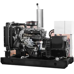 Genset Diesel Yangdong 13kw dengan Mesin YND485D 50Hz Generator Diesel Set dengan ATS 16.25kva Generator