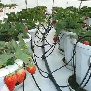 Système d'irrigation goutte à goutte en plastique à 2 sorties pour plantes en pot et légumes de jardin Outil de connexion d'<span class=keywords><strong>arrosage</strong></span> de jardin - Product Image 6