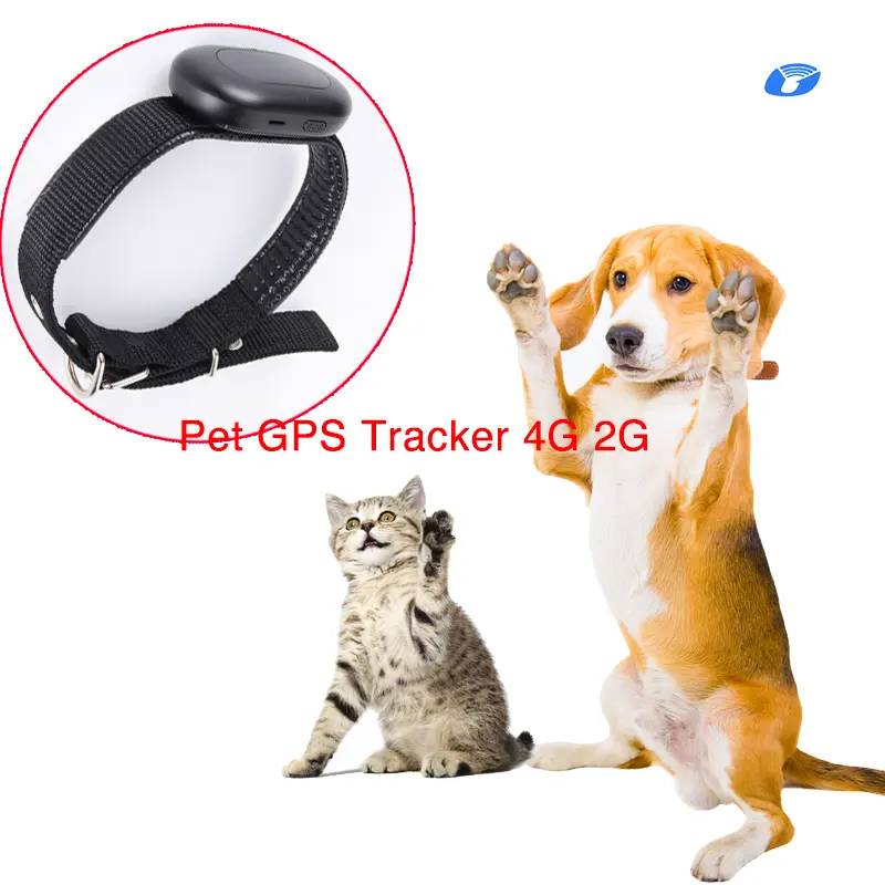 1300 mah große batterie tier gps-tracker tracking-gerät haustier-tracker gps-tracking ringtone led-lichter hunde-training gps-tracker